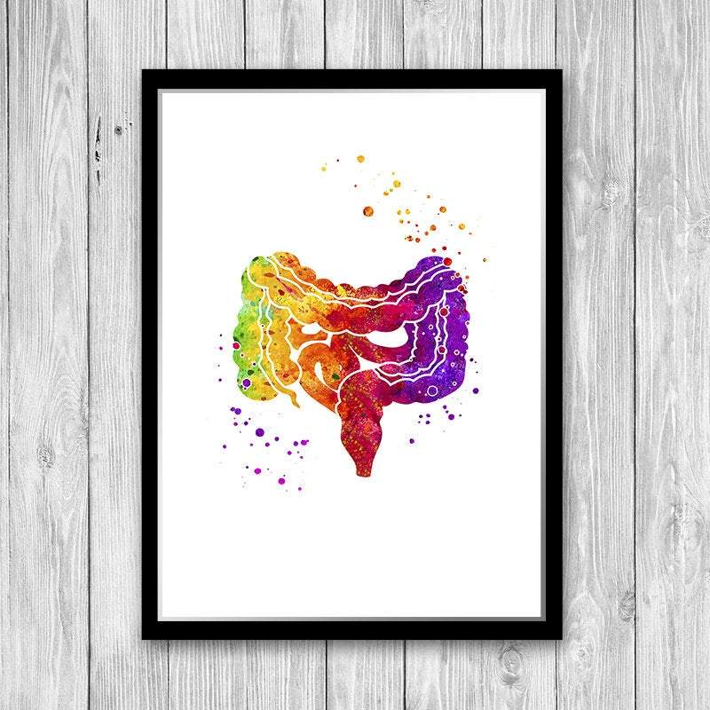 Lower Gastrointestinal GI Tract Watercolor Art Print
