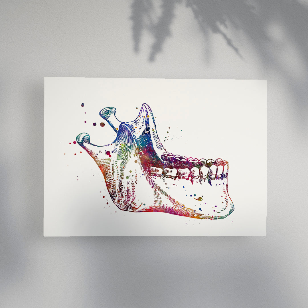 Jaw Anatomy Art – Colorful Mandible Print for Dental Office