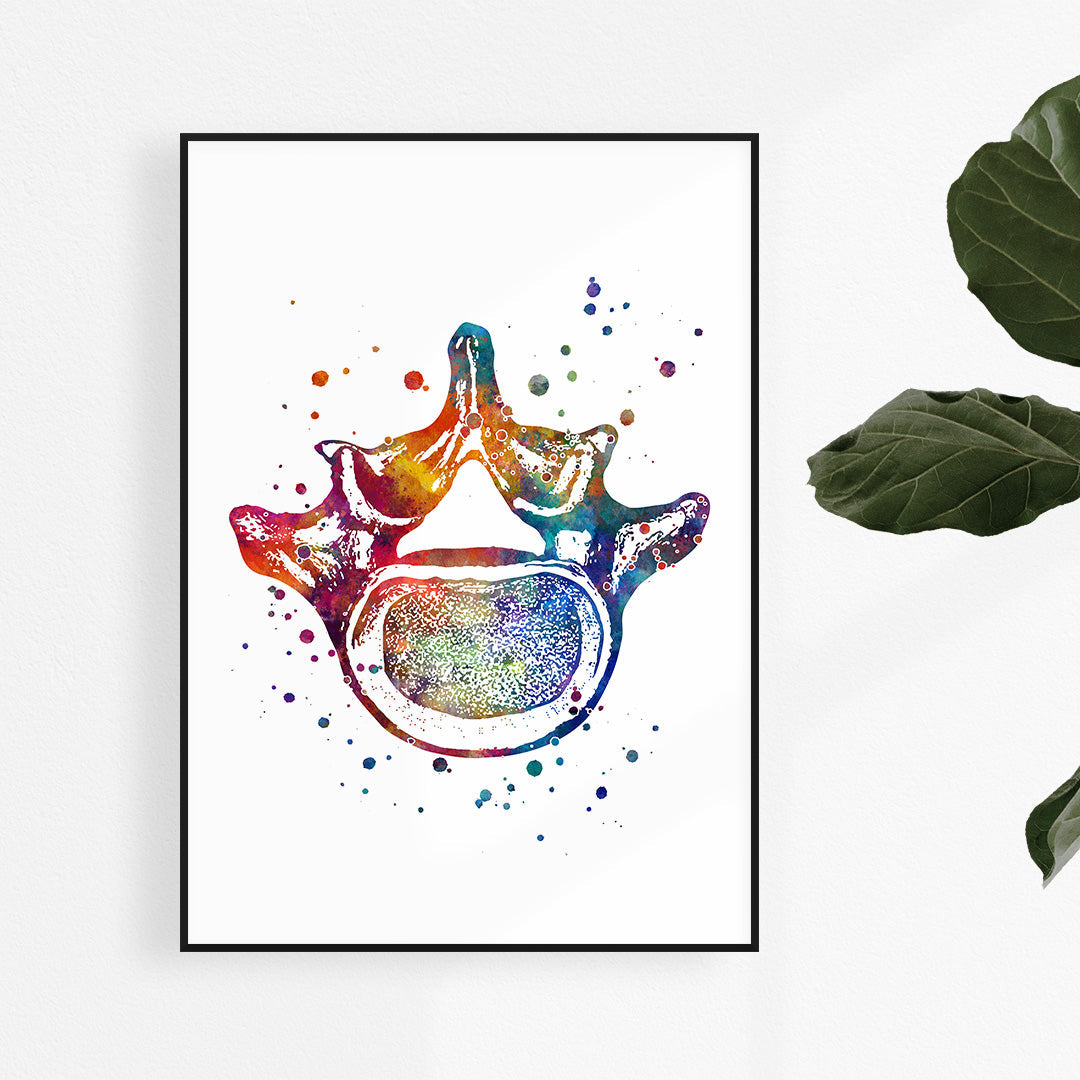Lumbar Vertebra Watercolor Anatomy Art Print