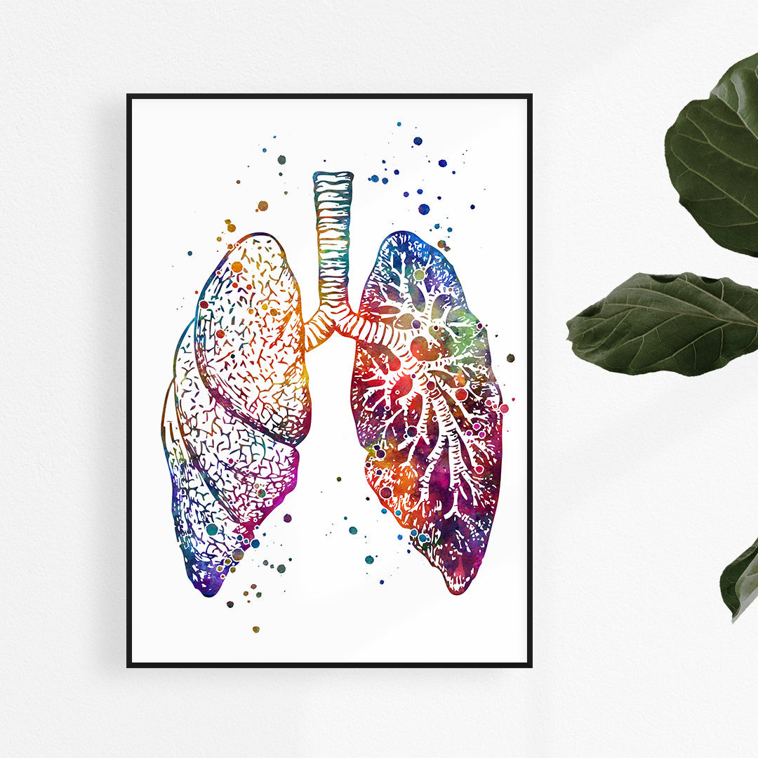 Anatomical lungs Watercolor Print for Pulmonology Clinic Decor