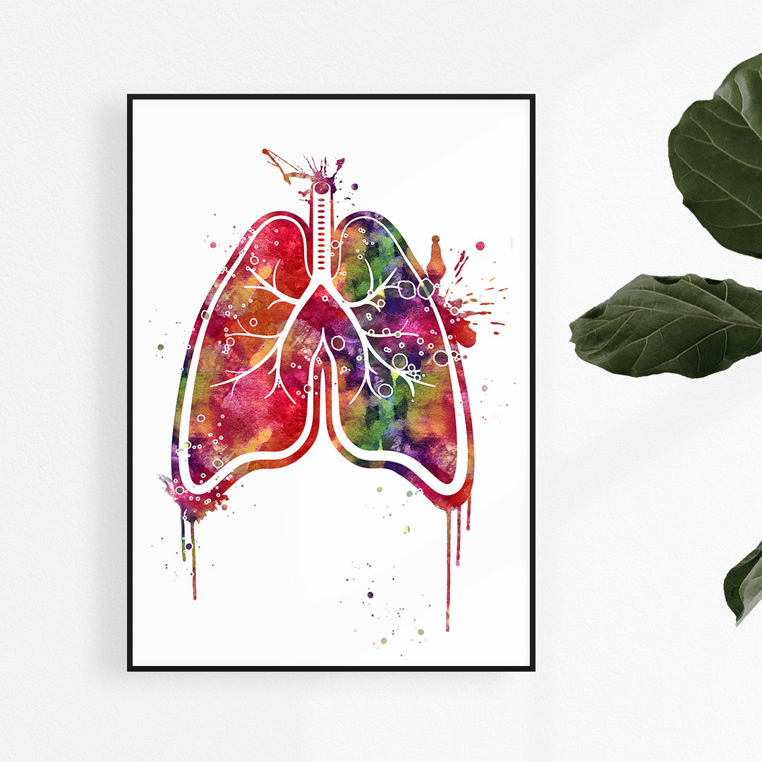 Vibrant watercolor splash depicting human lungs, perfect for clinic decor, adding a touch of artistic anatomy to any medical space