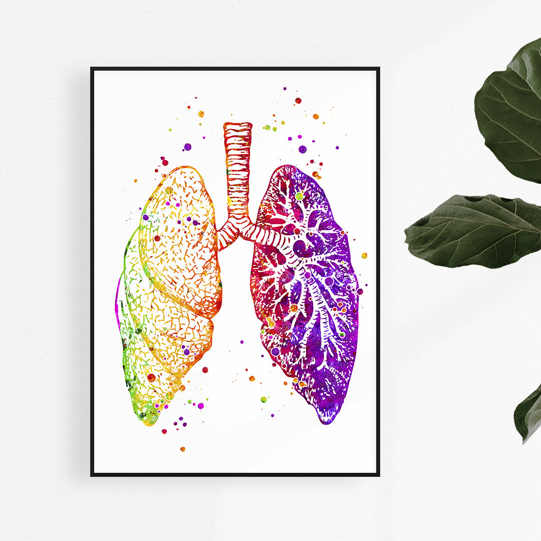 Anatomical watercolor print of lungs, ideal for pulmonology clinic decor, blending medical accuracy with artistic flair