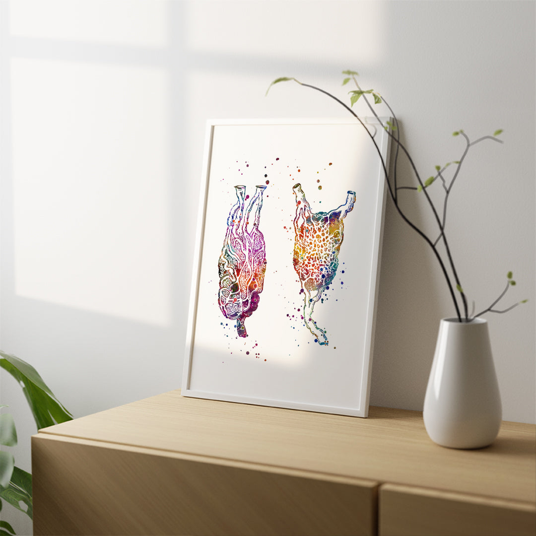 Detailed Lymph Nodes watercolor print, educational and artistic addition to any space