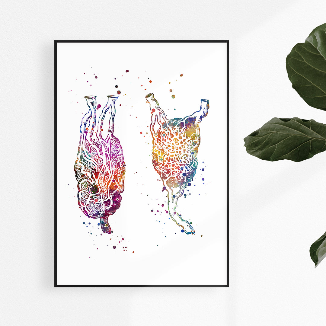 Colorful watercolor print of human lymph nodes, perfect for medical offices or anatomy enthusiasts