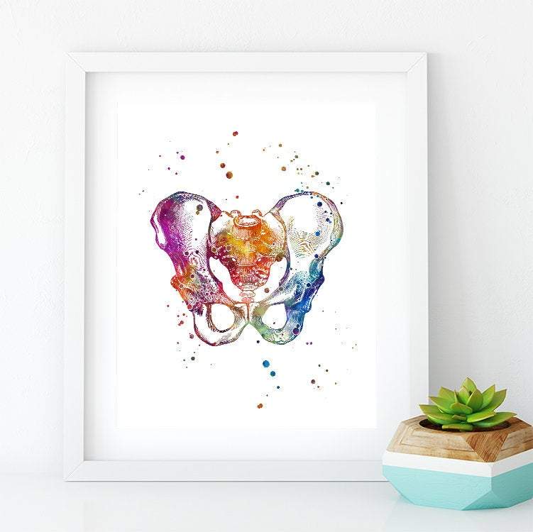 Male Pelvis Watercolor Anatomy Art Print