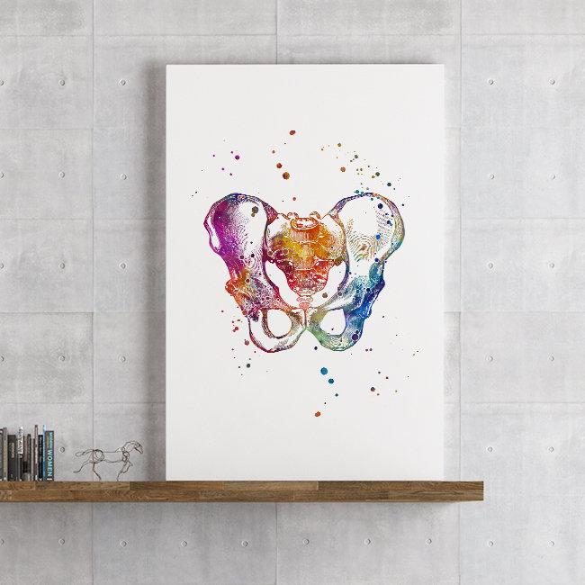 Male Pelvis Watercolor Anatomy Art Print