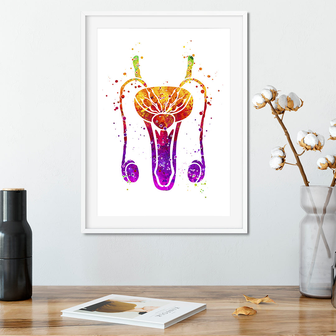 Male reproductive system anatomy art print, highlighting the penis in artistic watercolor, great for medical professionals and students