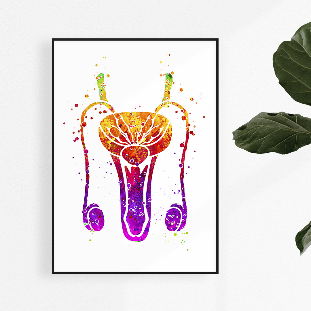 Detailed watercolor anatomy of the male reproductive system, showcasing the penis and related structures in vibrant hues