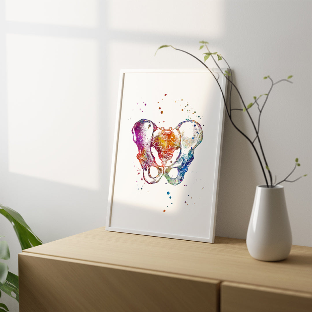Male Pelvis Watercolor Anatomy Art Print