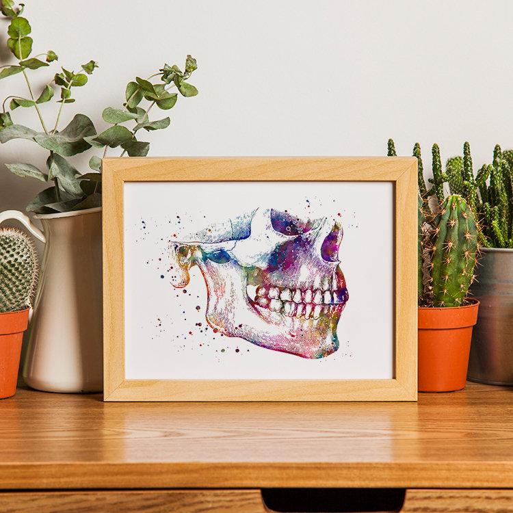 Mandible and Maxilla - Lower Jaw and Upper Jaw Anatomical Print
