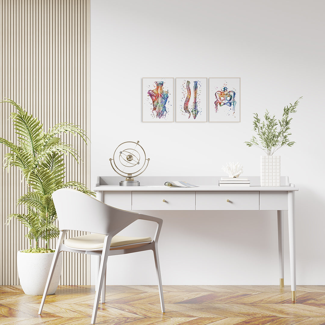 Chiropractic Art Set of 3 Anatomical Prints