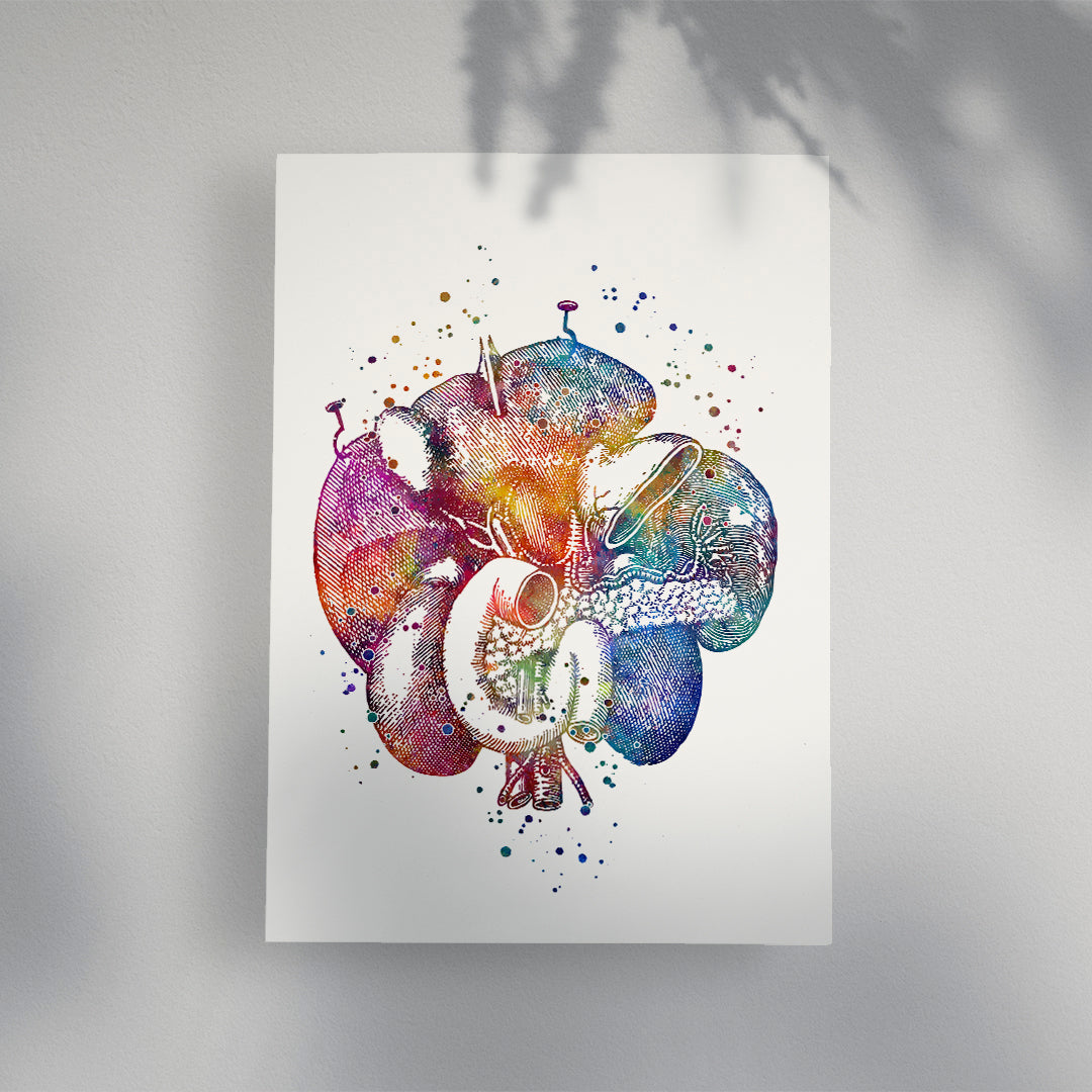 Duodenum, Human Internal Organs Watercolor Art Print