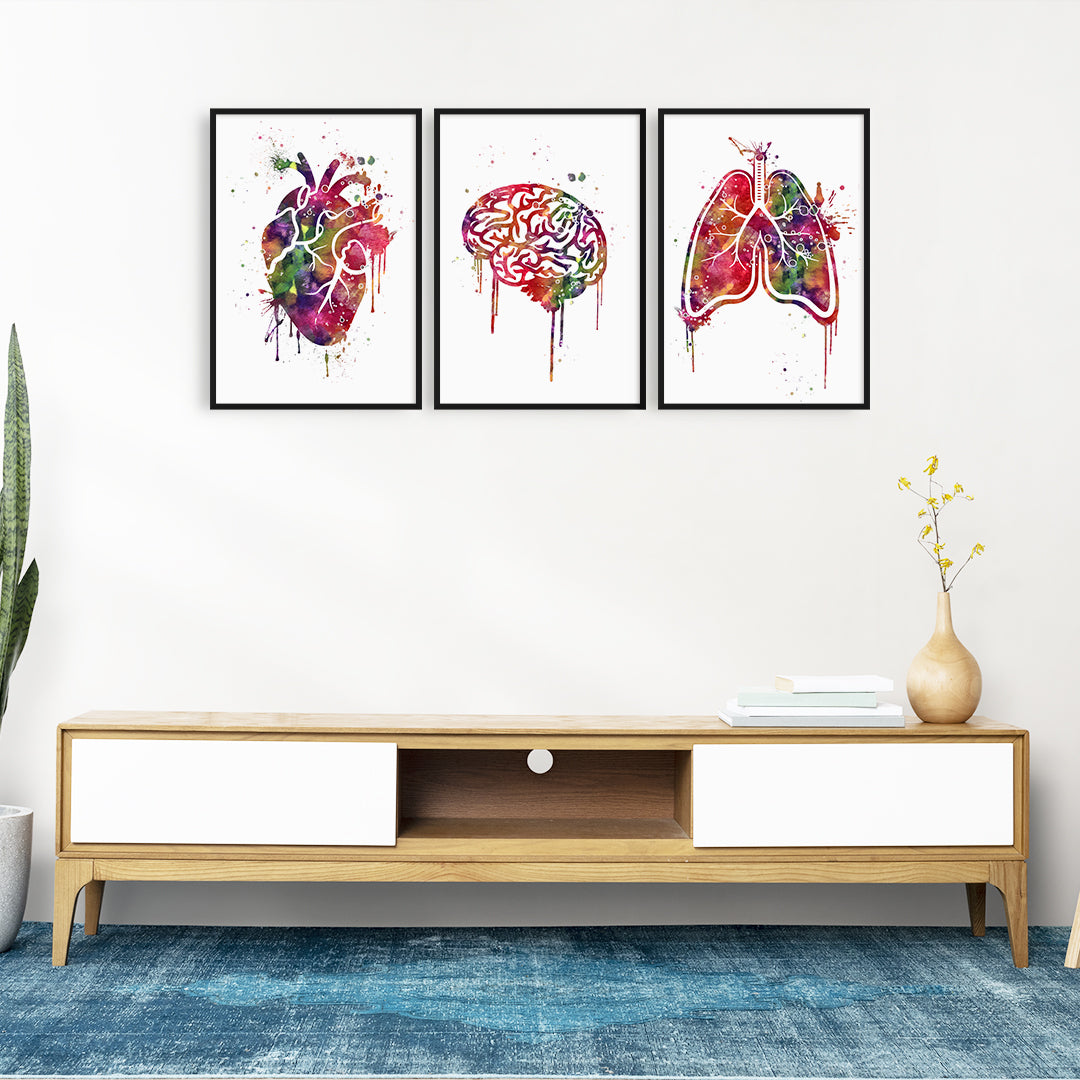 Watercolor Anatomical Set of 3 prints for medical student room decor