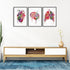 Watercolor Anatomical Set of 3 prints for medical student room decor