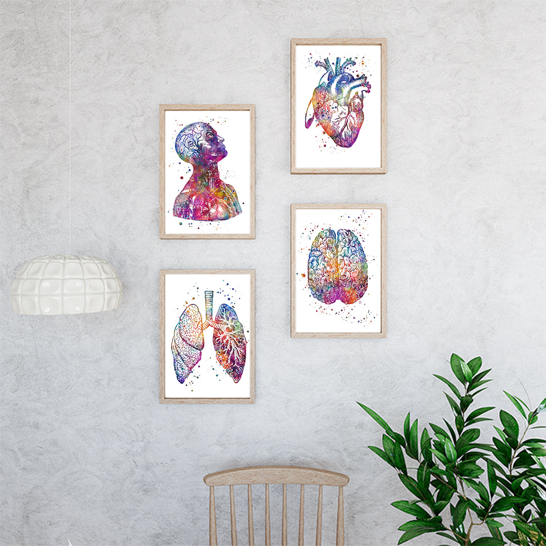 Set of 4 anatomical prints: head, brain, heart, lungs in vibrant watercolors, printed on textured art paper, great for doctors and medical students