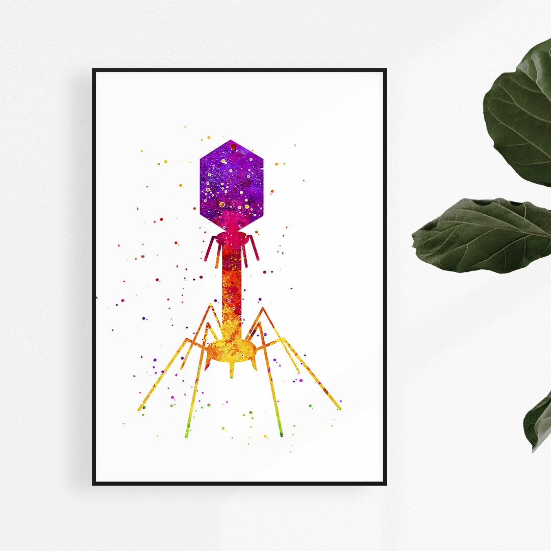 Watercolor art print of a bacteriophage virus, perfect for microbiology labs or classrooms.