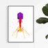 Watercolor art print of a bacteriophage virus, perfect for microbiology labs or classrooms.