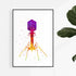Bacteriophage Art Watercolor Virus Print