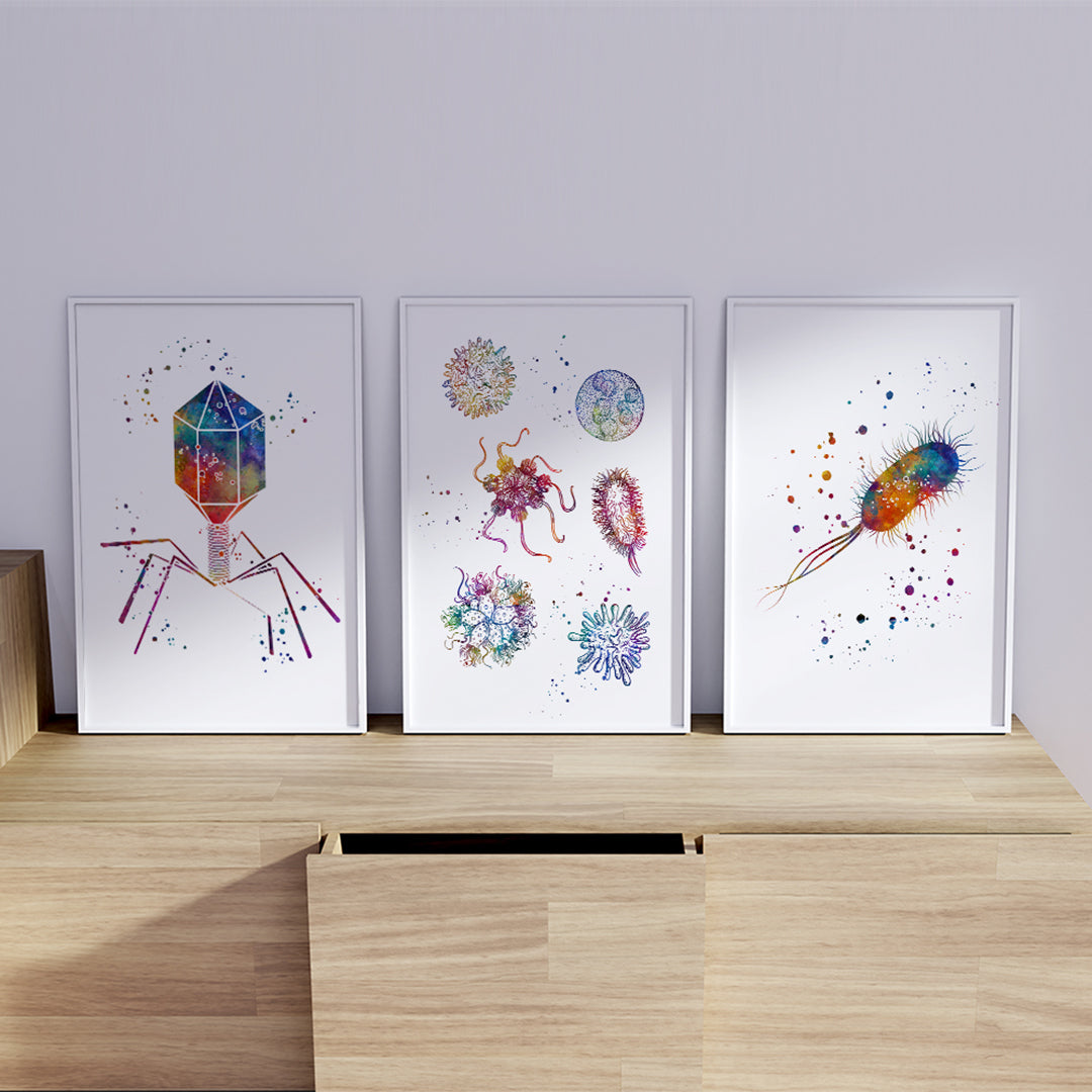 Science wall art: watercolor prints of bacteriophage, virus, and E. coli for classroom or medical office