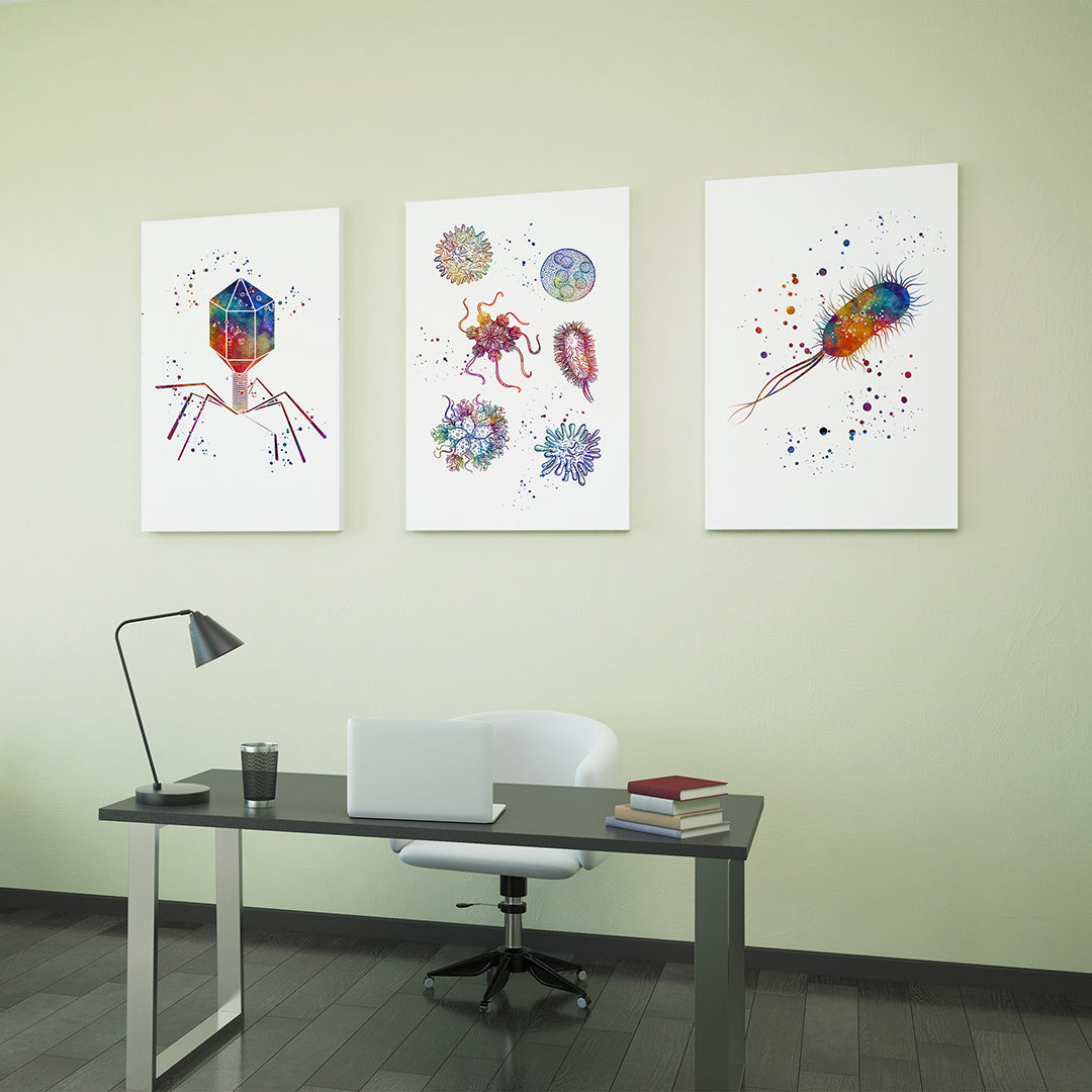Microbiology Art - Set of 3 Watercolor Prints