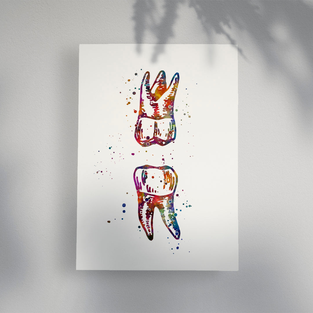 Watercolor print of upper and lower molars, ideal for dental professionals