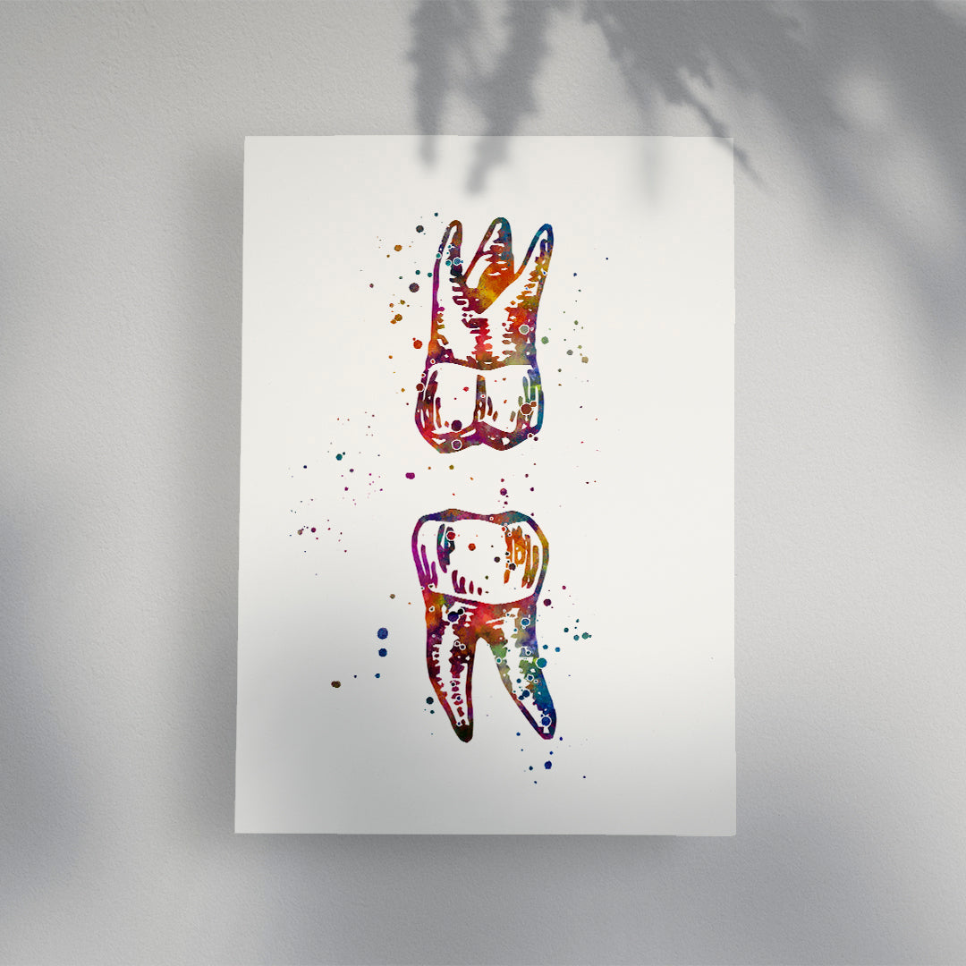 Maxillary and Mandibular Molar - Watercolor Print