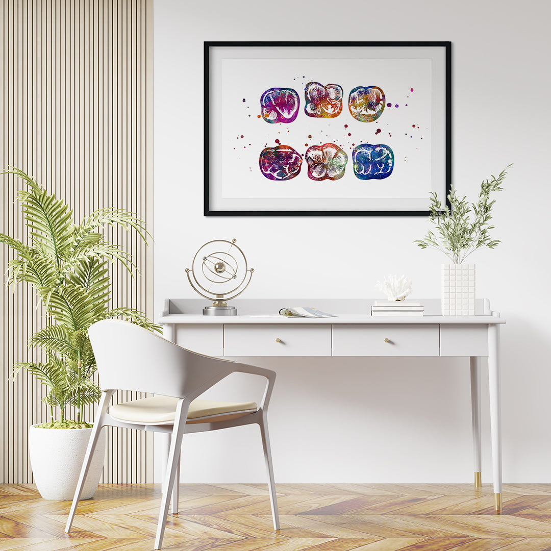 Surface of Molar – Watercolor Print
