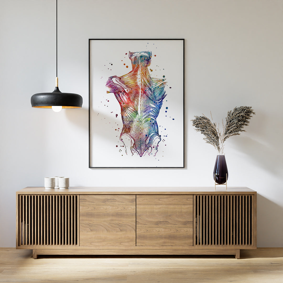 Back Muscles Anatomical Watercolor Art Print