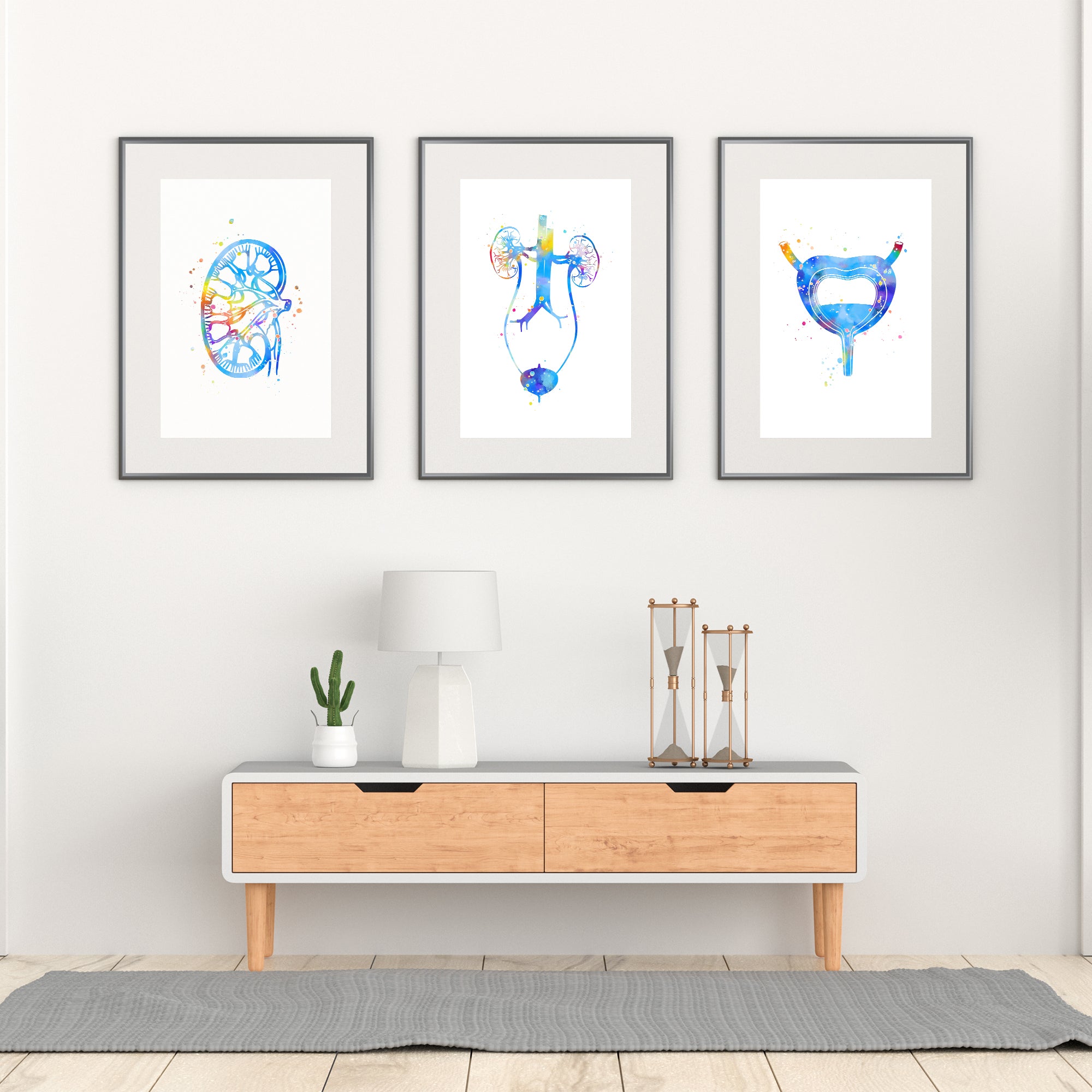 Colorful set of urology anatomy prints, showcasing detailed illustrations for clinic decor or medical educational settings.