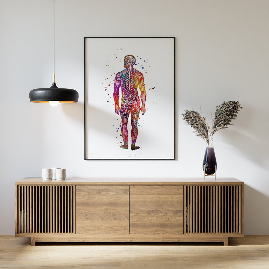 Human nervous system anatomy art print in multicolored watercolor, perfect for neuroscience enthusiasts and medical decor.