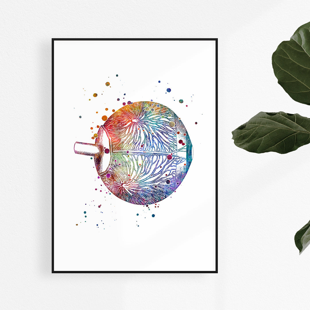 Eye Anatomy Neuro-ophthalmology Art Watercolor Print