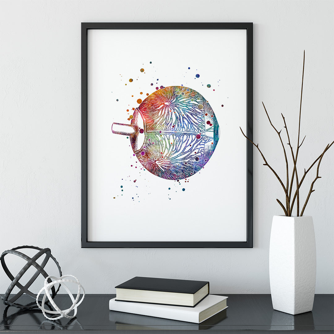 Eye Anatomy Neuro-ophthalmology Art Watercolor Print