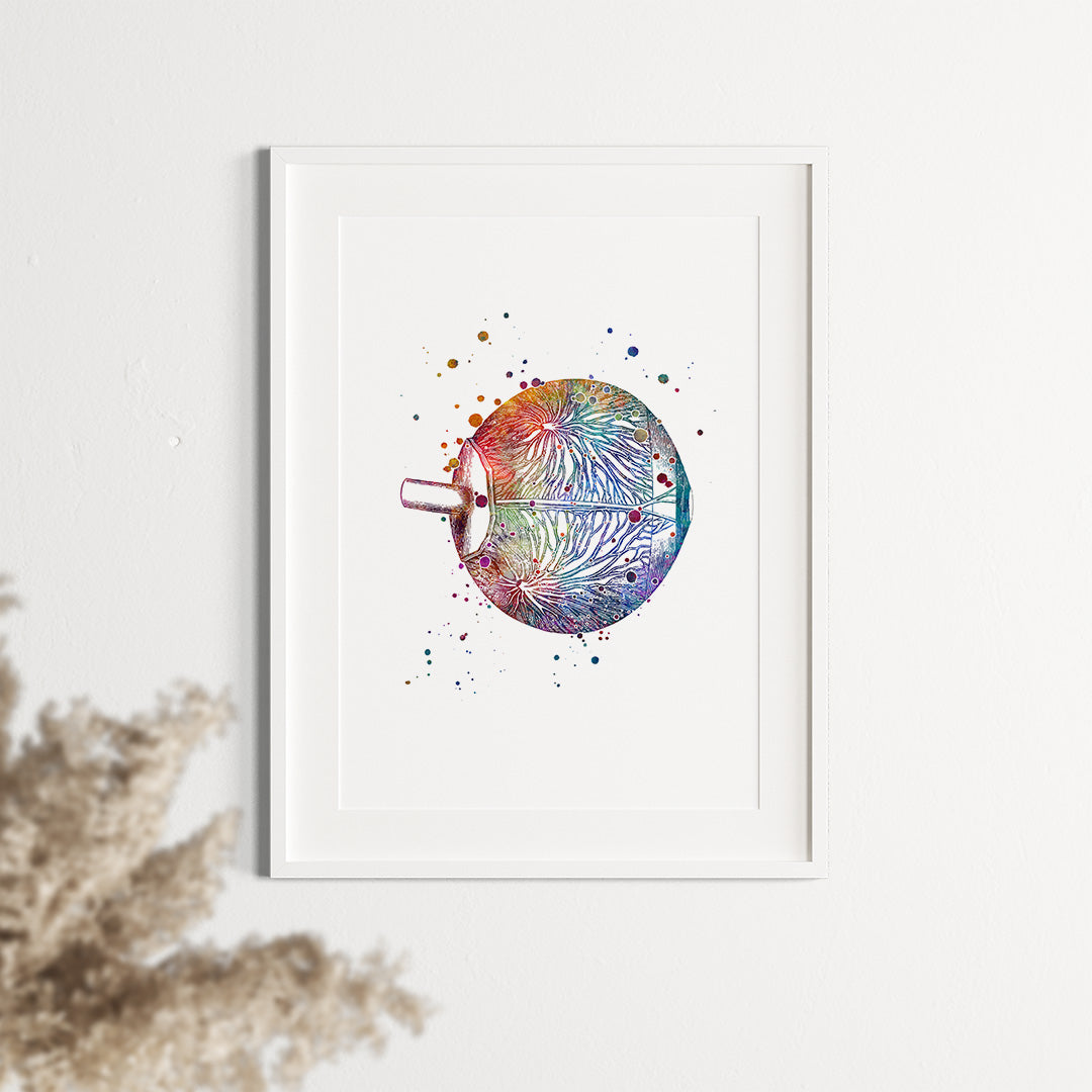 Eye Anatomy Neuro-ophthalmology Art Watercolor Print