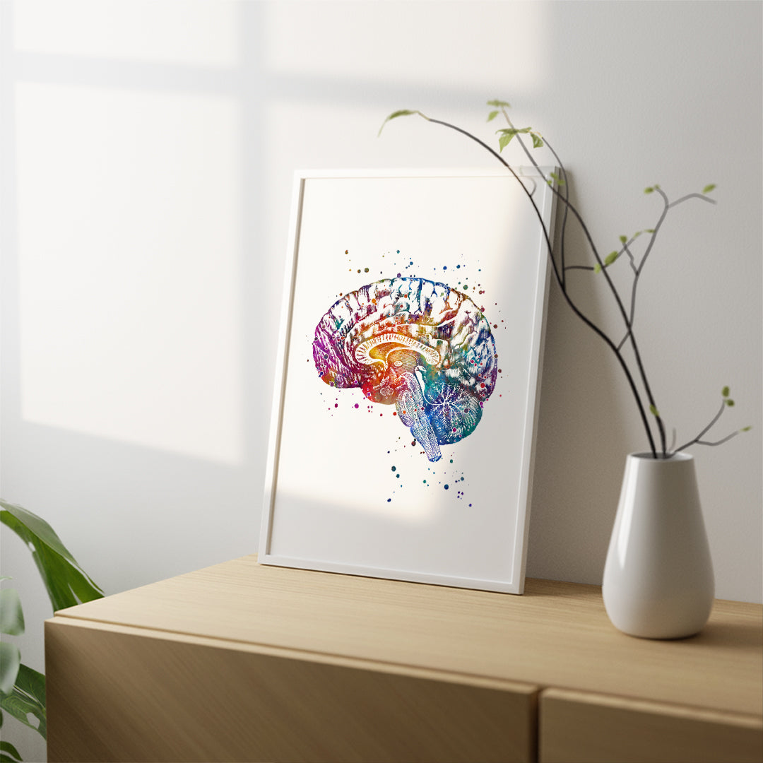 Colorful brain anatomy art print, medical watercolor decor for neuroscientists, doctors, and medical students.