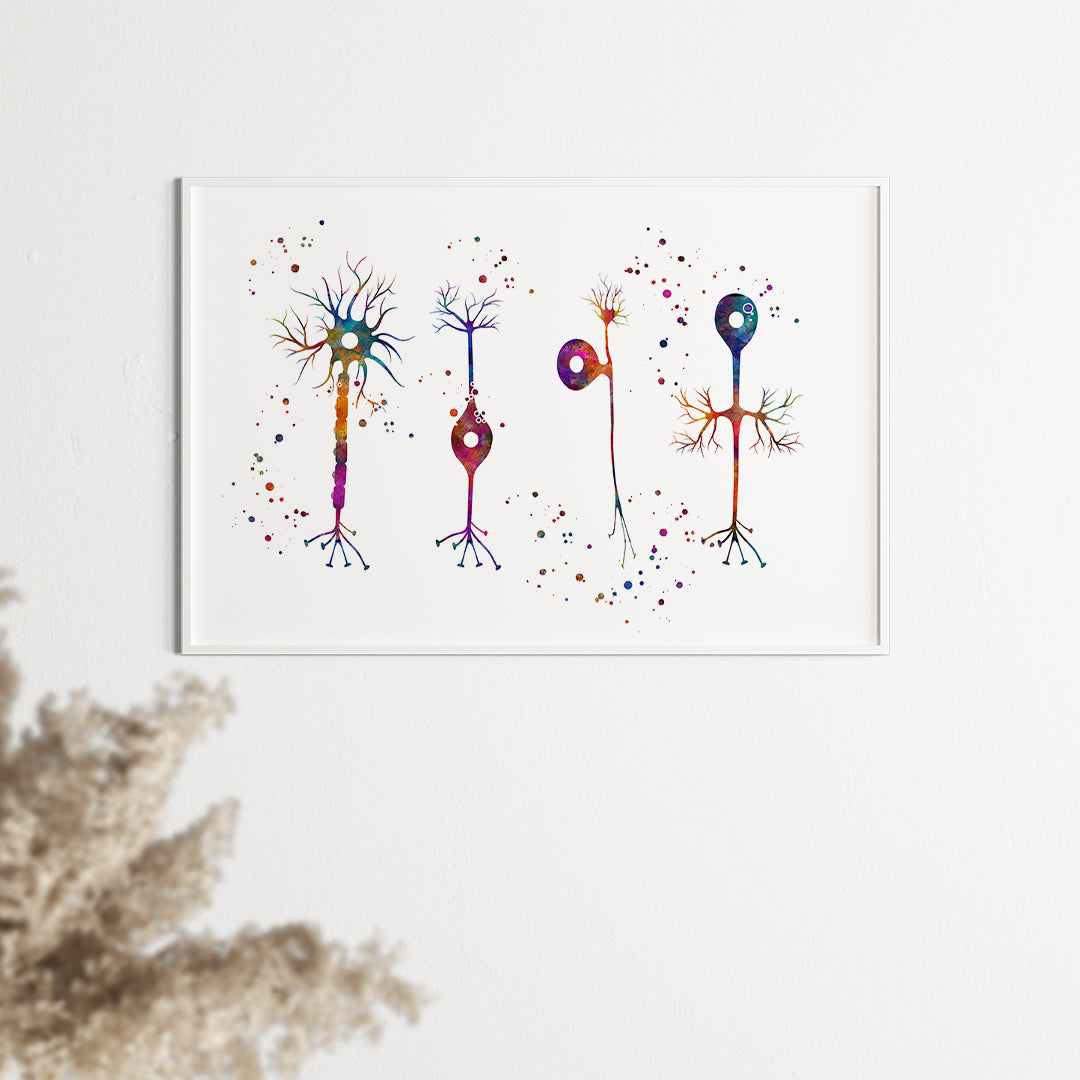 Artistic multicolored neuron illustration, highlighting four unique types, ideal for neuroscience decor.