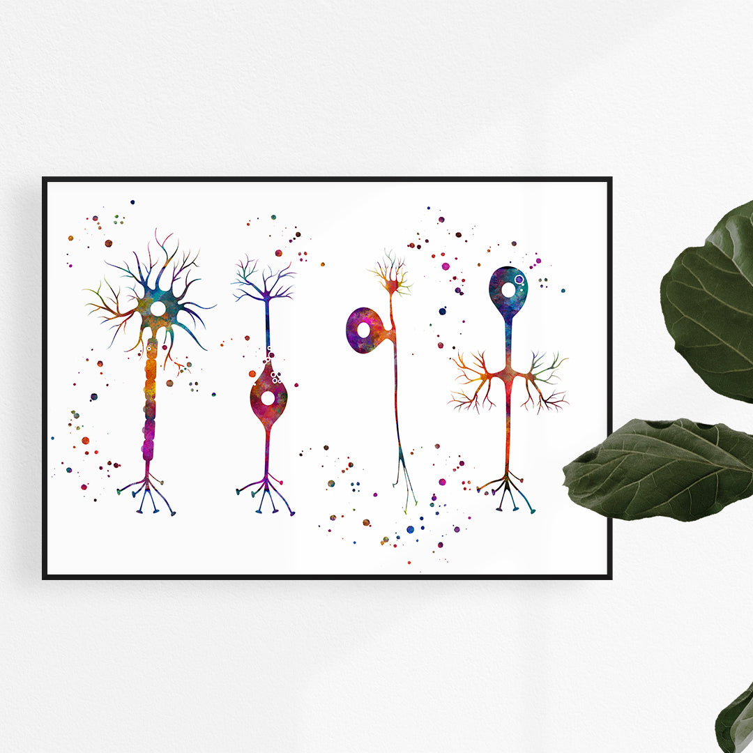 Colorful watercolor print of four neuron types, showcasing neuron diversity in vibrant detail.