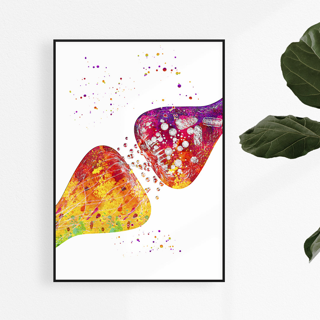 Neurotransmitter Watercolor Print Neuronal Receptors Synapses