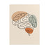 One line brain anatomy wall art print in a warm neutral interior