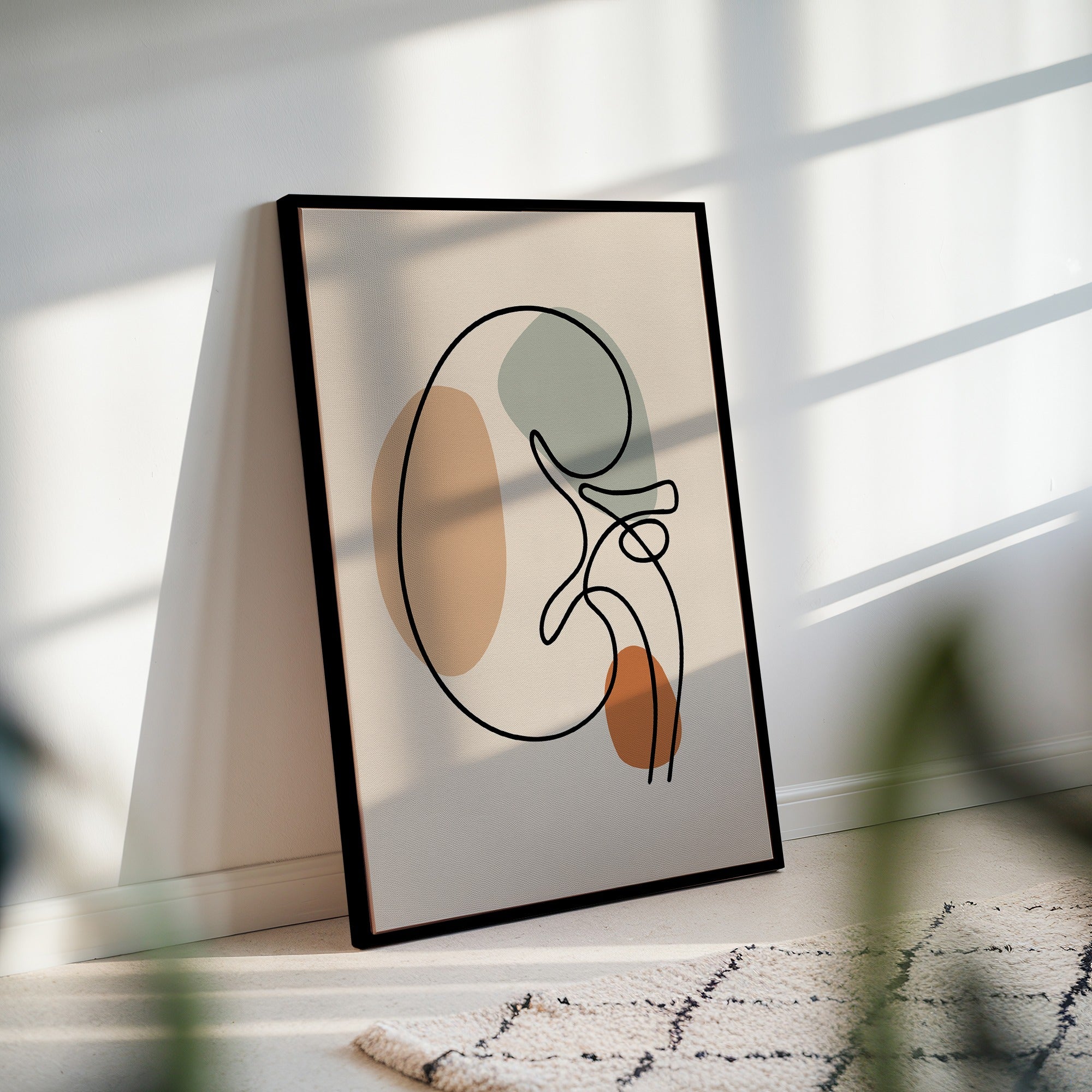 Minimalist kidney line art in a black frame with striped sunlight across the wall.
