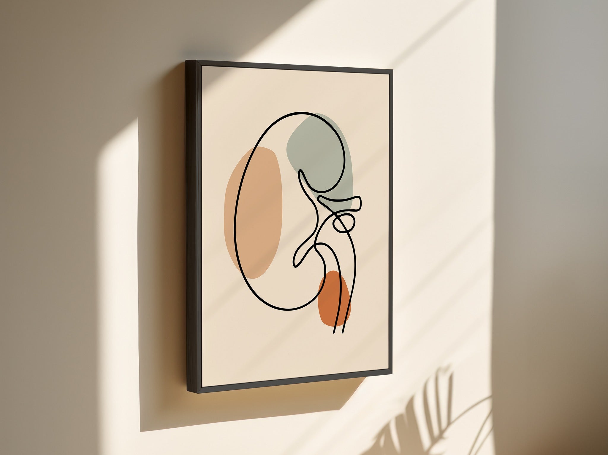 Minimalist kidney line art on canvas in a black outer frame on a sunlit wall.