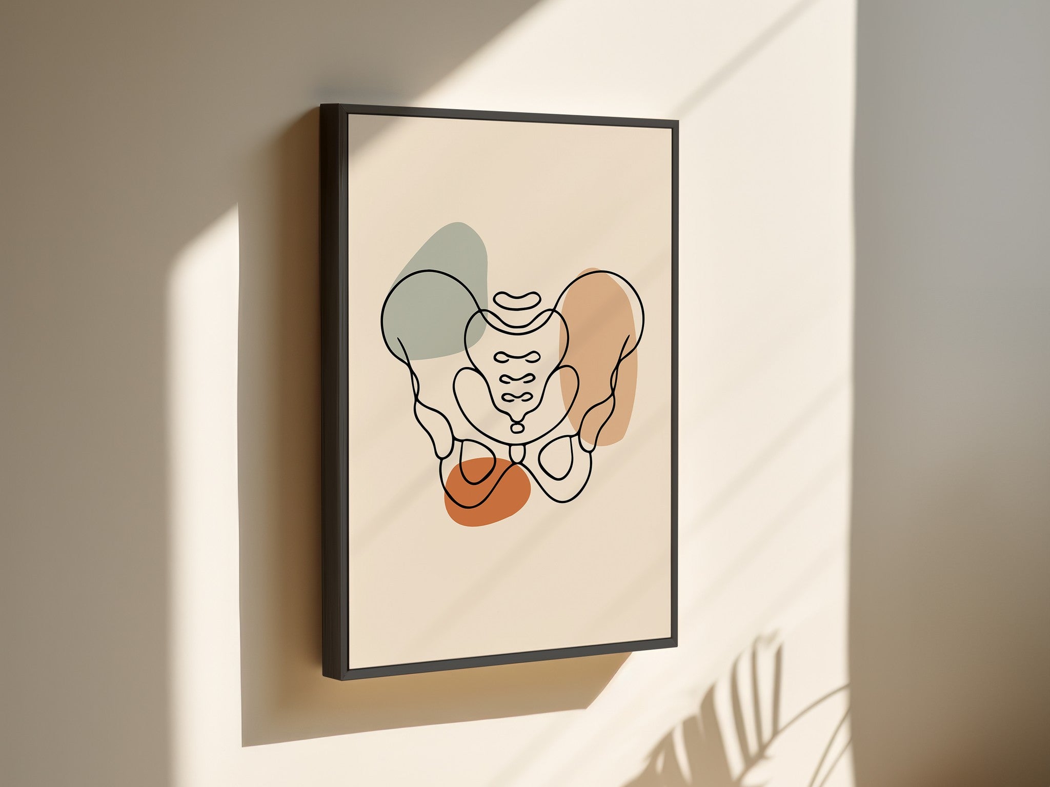 Pelvis anatomy artwork on framed canvas with a black outer frame on a sunlit beige wall.