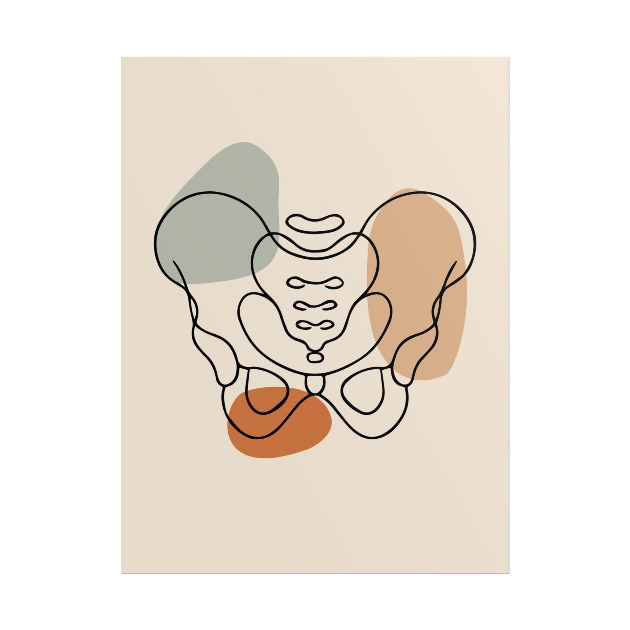 Unframed pelvis anatomy print with black lines and sage, beige and terracotta shapes on a white background.