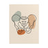 Unframed pelvis anatomy print with black lines and sage, beige and terracotta shapes on a white background.