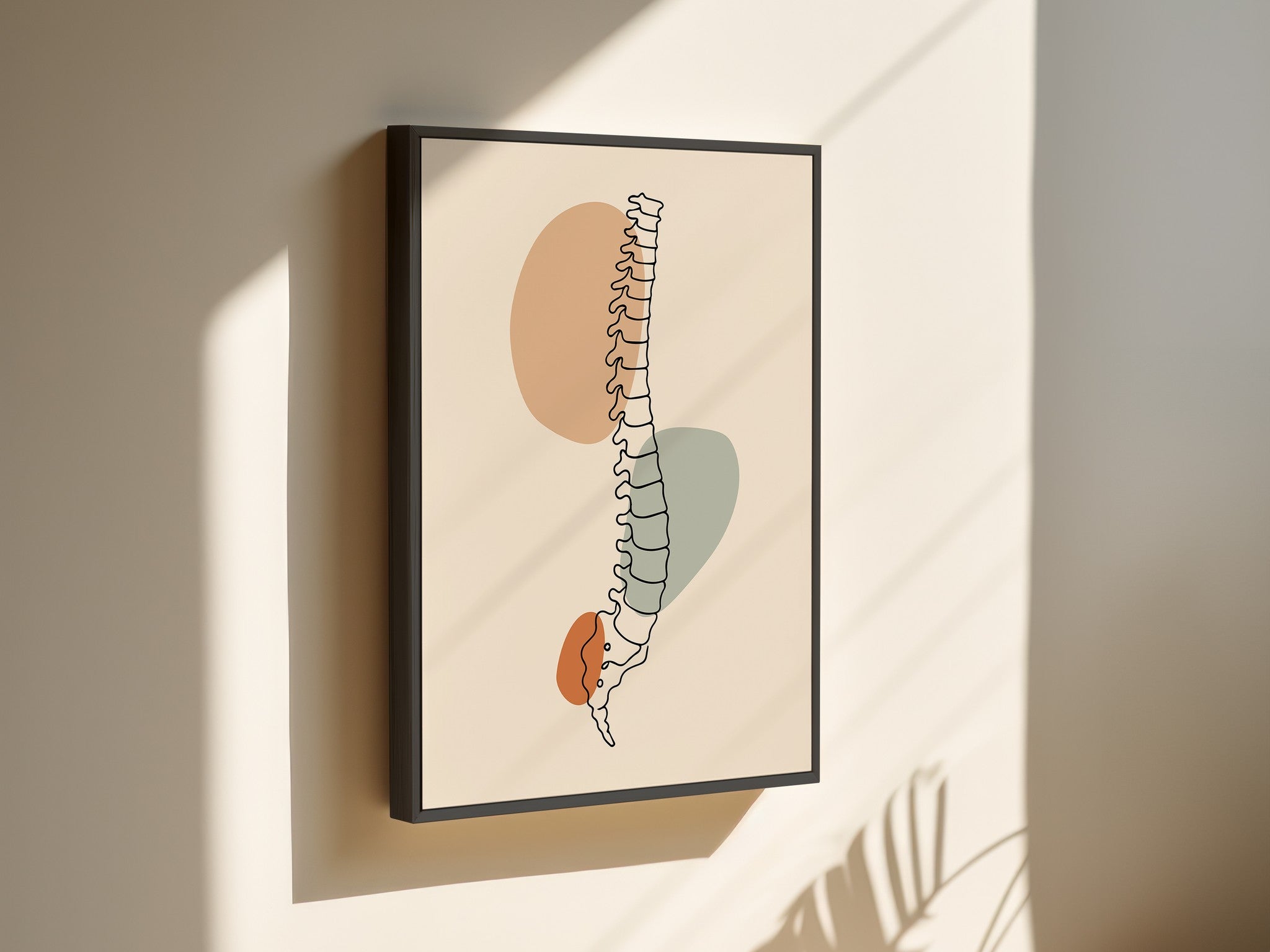Spine line art on framed canvas with a black outer frame, hanging on a sunlit beige wall.