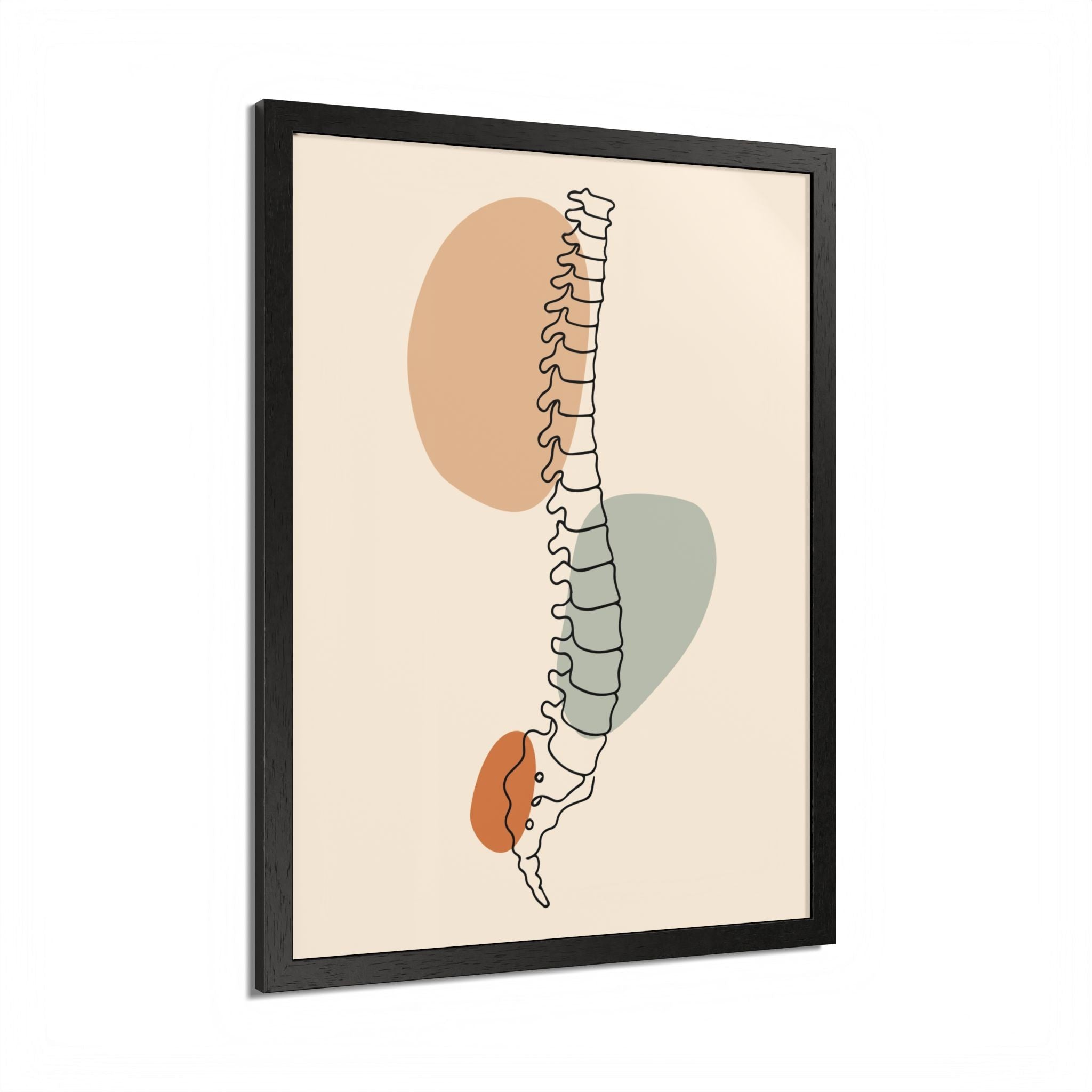 Spine anatomy line art in a black frame, shown at an angle against a white background.