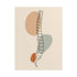 Unframed spine line art print with beige, sage and terracotta shapes on a white background.