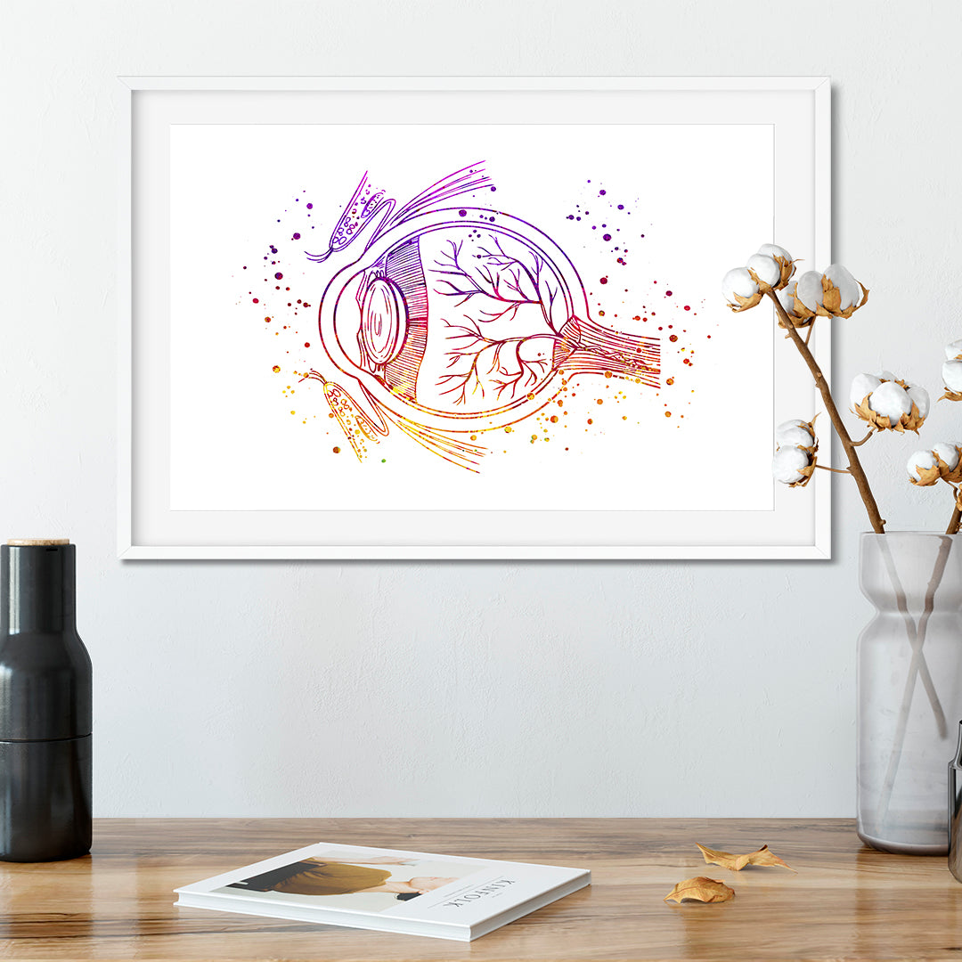 Detailed watercolor eye anatomy print, a unique addition to any medical study space