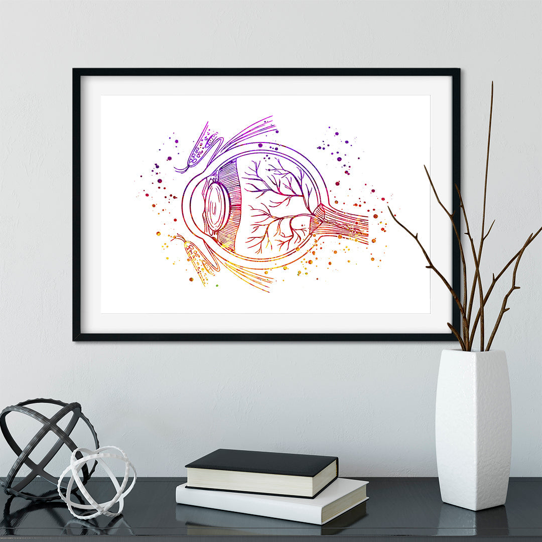 Human Eye Anatomy Watercolor Ophthalmology Art Print