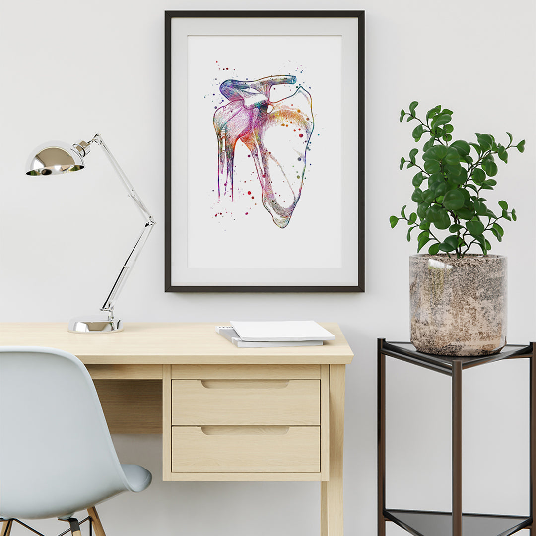 Orthopedic surgeon office decor featuring a watercolor shoulder joint print