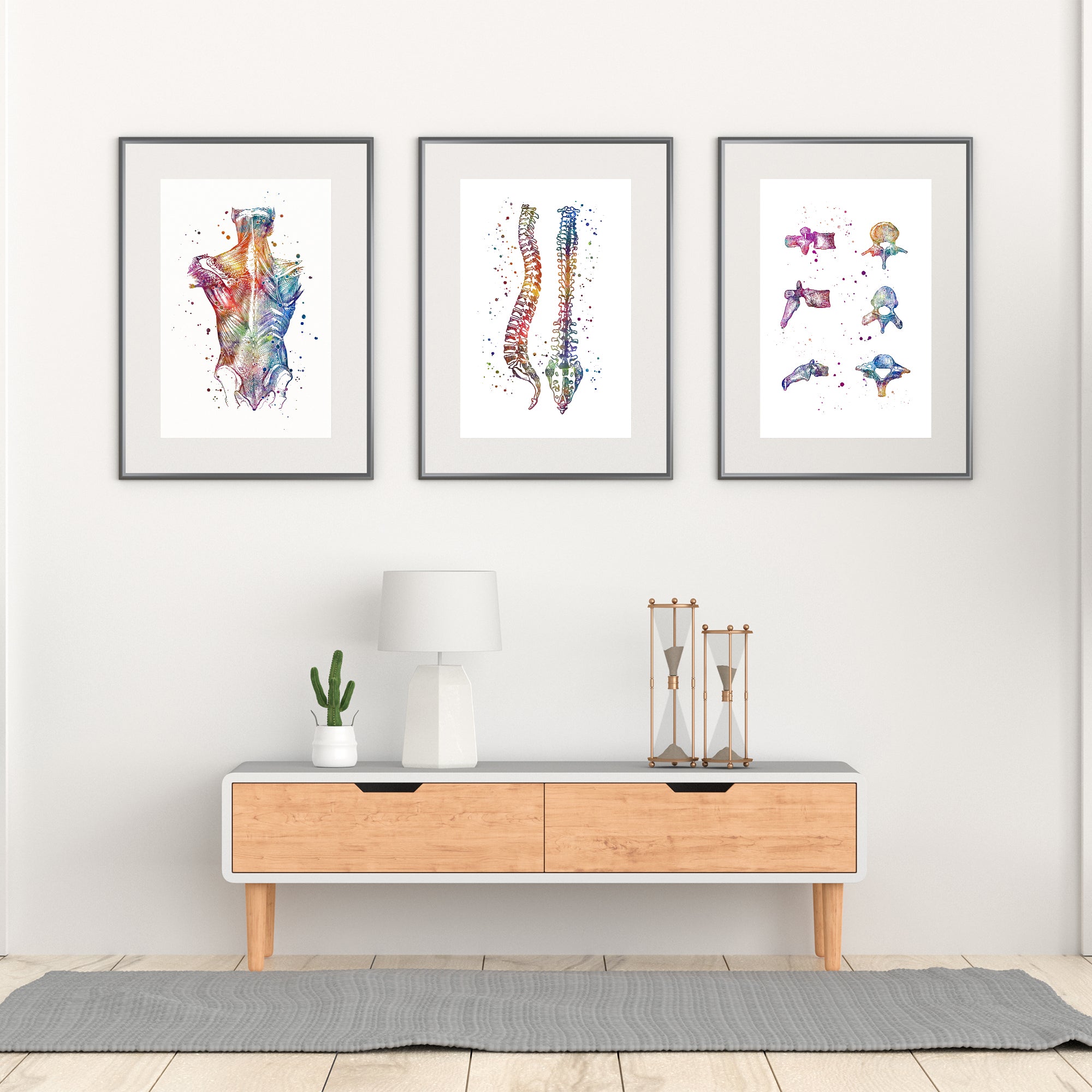 Anatomy art print set with spinal cord, vertebrae, and muscles, ideal for decor.